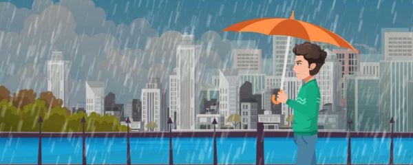 谷雨采的是什么茶 有什么特点