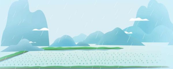 谷雨茶是越陈越好吗 有什么影响
