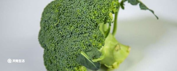 西兰花可以不焯水直接炒吗 西兰花可以不焯水吗