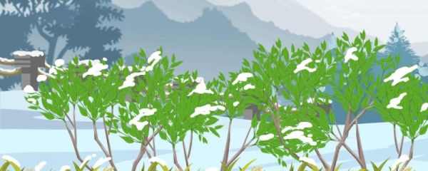 小雪节气吃什么 小雪时节会下雪吗