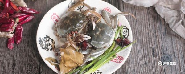 螃蟹公母怎么分 螃蟹公母怎么区分