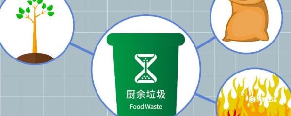 垃圾桶里的虫子是怎么凭空出来的 垃圾桶里的虫子是怎么出来的