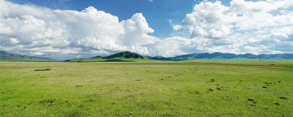 青藏高原湿地成因有哪些 青藏高原湿地的成因