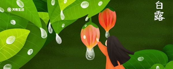 白露节气有无忌讳 白露节气有没有忌讳