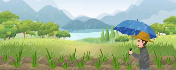 雨水节气有什么特点