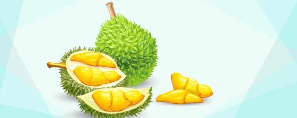 国产榴莲上市时间 国产榴莲的上市价格