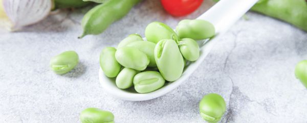 蚕豆不剥皮怎么保存 蚕豆需要剥皮吗