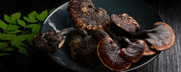 贵州特产三宝是哪三宝 贵州的三宝是哪三宝