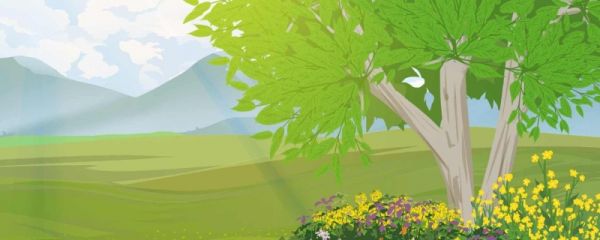 2022年世界环境日主题