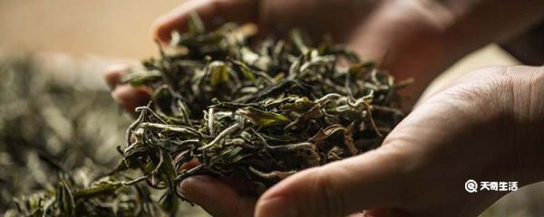 白茶为什么叫白茶 白茶的特点