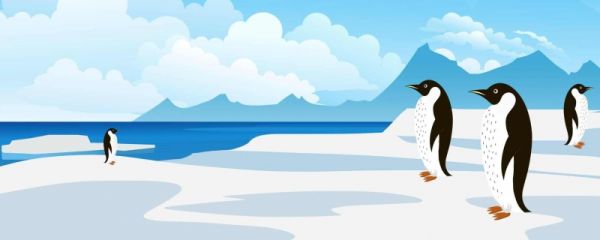 企鹅是恒温动物还是变温动物