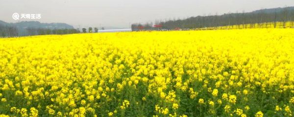 送杯子暖心的话八个字 送杯子暖心的话八个字是什么