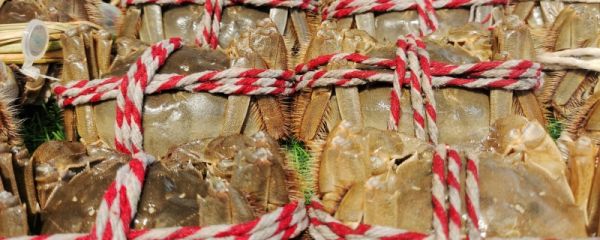 蒸大闸蟹大火还是中火 蒸大闸蟹配什么蘸料好吃