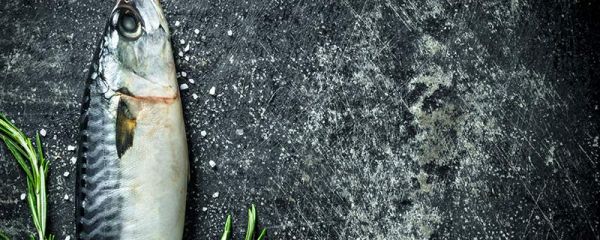 鲤鱼什么时间甩籽 鲤鱼什么时候甩籽