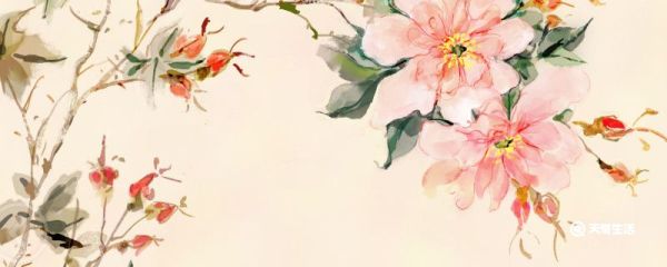 异地城市怎么订花 异地城市怎么订花方法