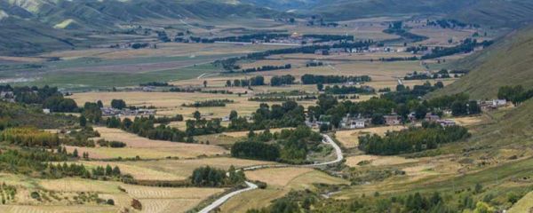 西部地区包括哪些省 西部地区发展的优势是什么