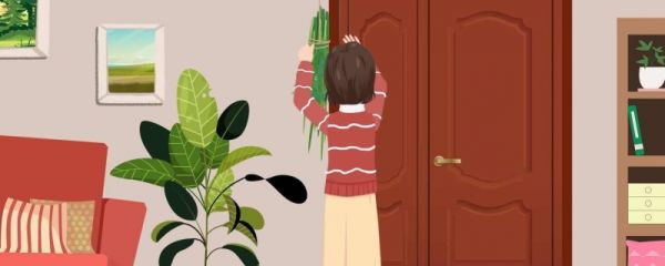 端午艾草成单成双 端午节挂艾草有哪些象征