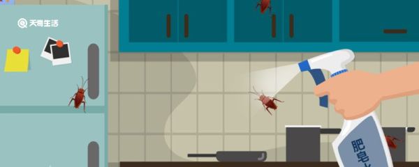 房间为什么有蟑螂 房间为什么有蟑螂原因