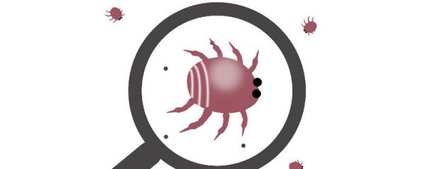 螨虫怎么去除简单方法 怎么有效的去除螨虫简单方法