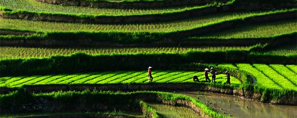 第一季度是哪几个月 第一季度是哪几个月份