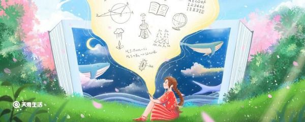 什么是有理数  有理数是什么