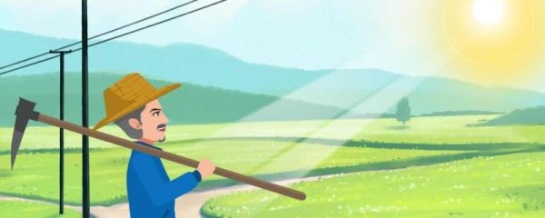 三伏天晒背能治背疼吗 三伏天晒背的最佳时间是哪个时间段