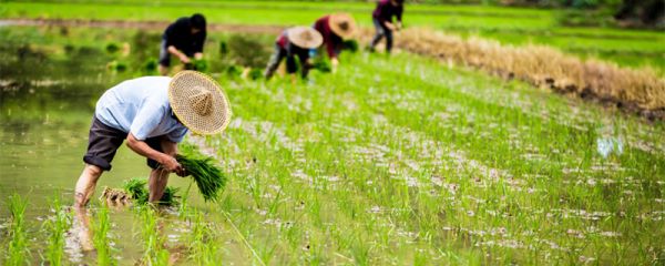 六大生产要素有哪些 六大生产要素简介