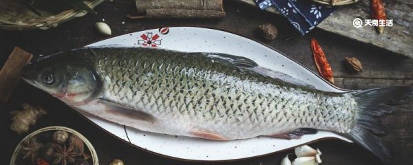 鱼精是鱼的哪个部位 鱼精在鱼的哪个部位