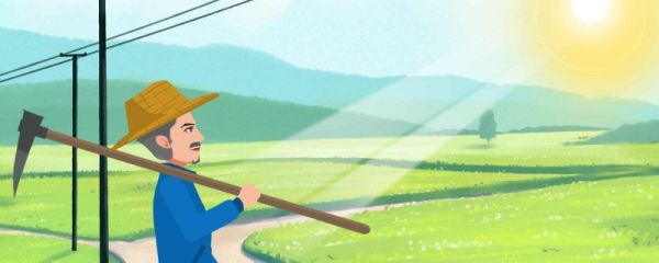 三伏天有多少天 三伏天为什么最热