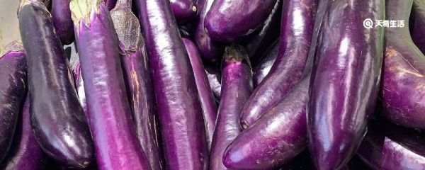 茄子需要焯水吗? 茄子要焯水吗?