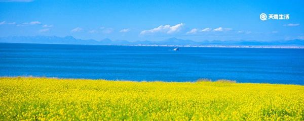 西海在哪里 西海在什么地方