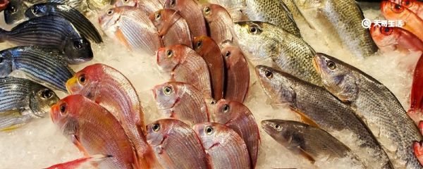 什么是海鲜 海鲜是什么