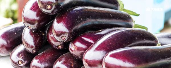 秋冬天如何保存茄子 保存茄子的方法