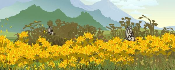 重阳节特色美食 重阳节我国各地区习俗有哪些