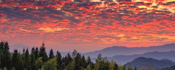 火烧云是怎样形成的 火烧云的成因