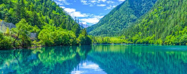 瓜娃子是什么意思 瓜娃子什么意思