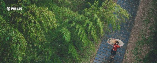 适合雨天发的简短句子 适合雨天发的简短句子有哪些