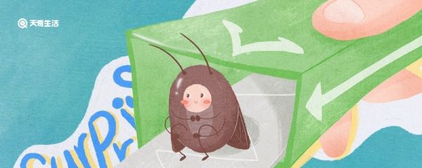 被蟑螂爬过的衣服能穿吗 被蟑螂爬过的衣服还可以穿吗