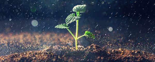 酸雨怎么形成的 我国三大酸雨区分别为