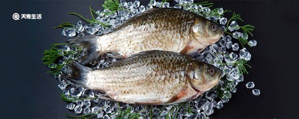 鲤鱼冷冻保存去内脏吗 冷冻鲤鱼需不需要去除内脏