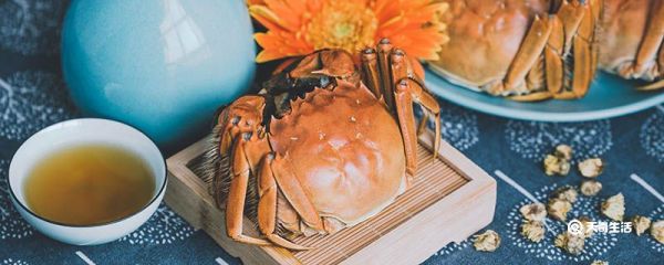 刚死的螃蟹能吃吗 螃蟹哪些部位不能吃