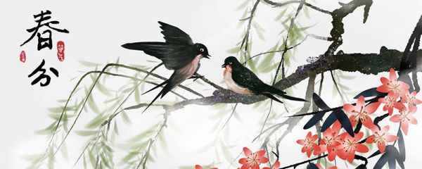 春分是春天的开始吗 春分是不是春天的开始