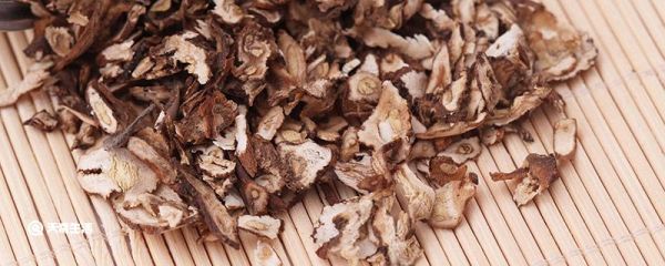 蒲公英泡水喝的功效 蒲公英泡水喝有什么功效作用