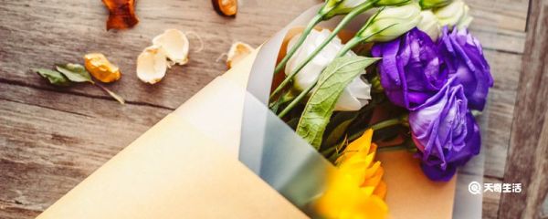 紫玫瑰花语 紫玫瑰的花语是什么