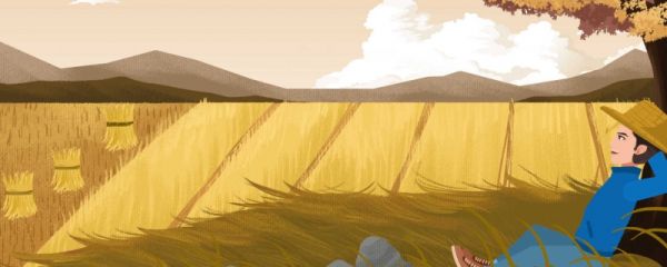 立秋三不做指什么 2023立秋后还热不热