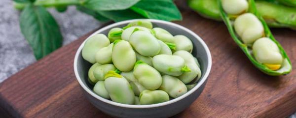 胡豆和蚕豆的区别 胡豆跟蚕豆有什么区别