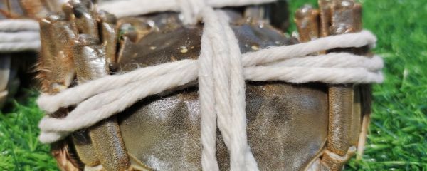 冷冻大闸蟹清蒸时间多长 大闸蟹清蒸的正确方法