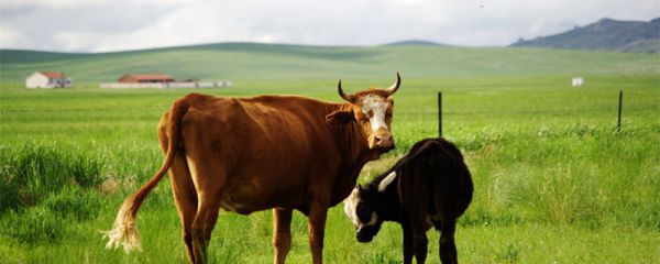 满洲里属于中国吗 满洲里属于哪里