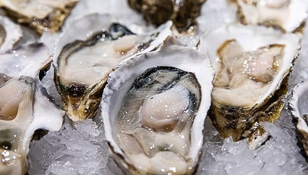 生蚝死了能吃了吗 生蚝死了能吃了么