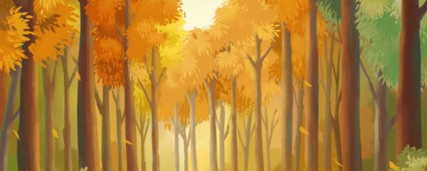 白露是2023的几月几日